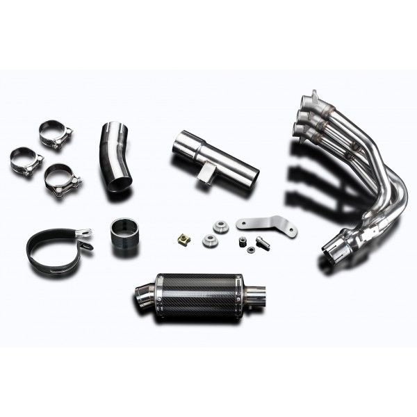 Delkevic volledig systeem Oval RVS 225mm - Street Triple 675 (2013-2016)