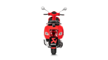 Akrapovic Slip-on Line RVS Einddemper met E-keur Vespa GTS 250 2005 > 2013