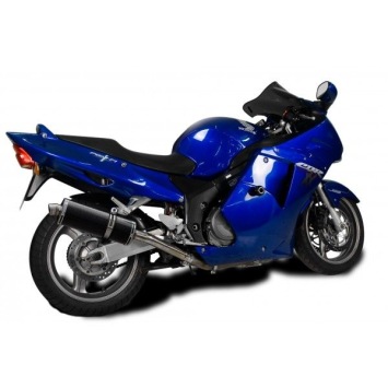 Delkevic volledig systeem Oval Carbon 350mm - CBR1100XX BLACKBIRD (1996-2009)