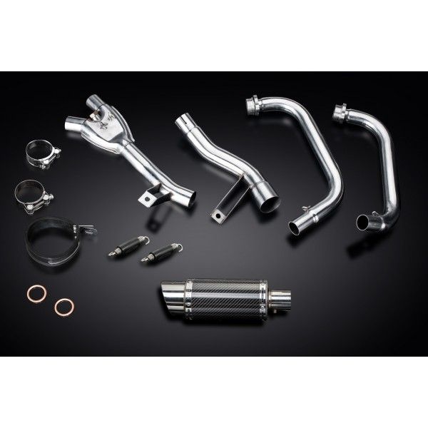 Delkevic volledig systeem Round Carbon 200mm - GW250 Inazuma (2013-2018)