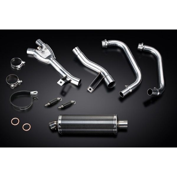 Delkevic volledig systeem Oval Carbon 350mm - GW250 Inazuma (2013-2018)