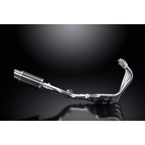 Delkevic volledig systeem Round Carbon 200mm - CB600F HORNET (2007-2013)