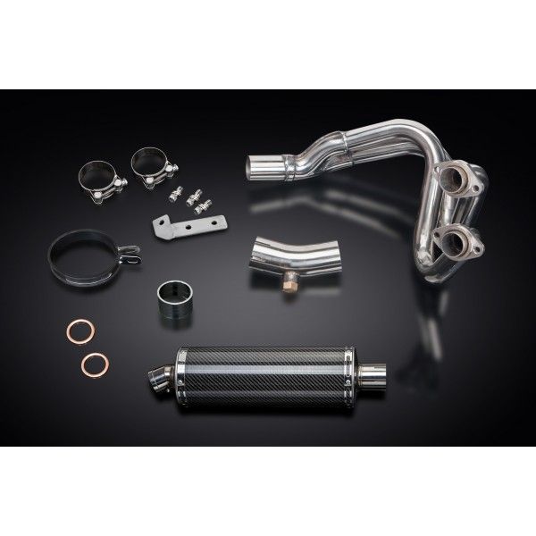 Delkevic volledig systeem Oval Carbon 350mm - ER6N/F (2006-2011)