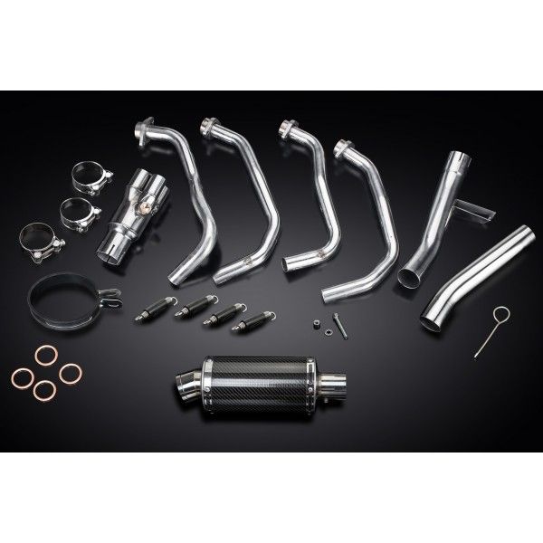 Delkevic volledig systeem Oval Carbon 225mm - VERSYS 1000 10-14