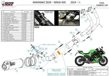 Mivv Oval Carbon Volledig Uitlaatsysteem met E-keur Kawasaki Ninja 650 2024 - 2025