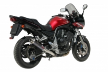 Mivv GP Carbon Slip-on Einddemper met E-keur Yamaha FZS 1000 Fazer 2001 > 2005